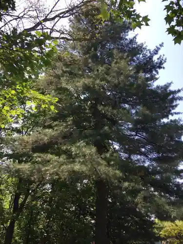 砂川神社(北海道)