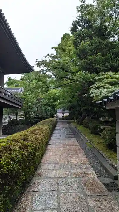 大雲院(京都府)