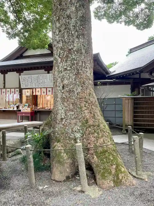 荏柄天神社の自然