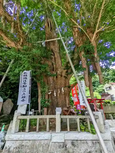 海南神社の自然