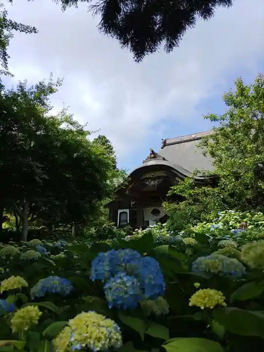 雲昌寺(秋田県)