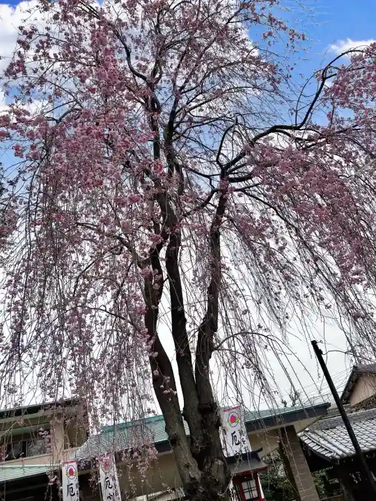 川越八幡宮(埼玉県)