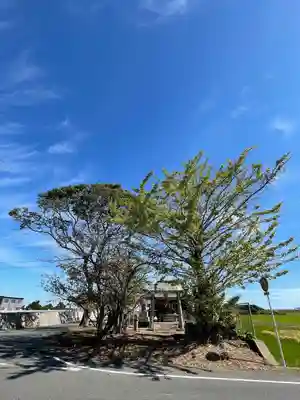 蛭子神社の自然