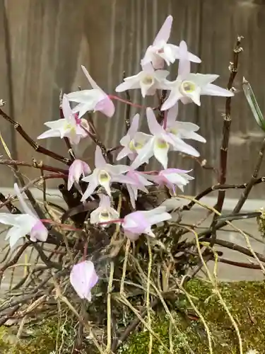 須山浅間神社の自然