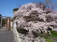 滋賀県護国神社の自然