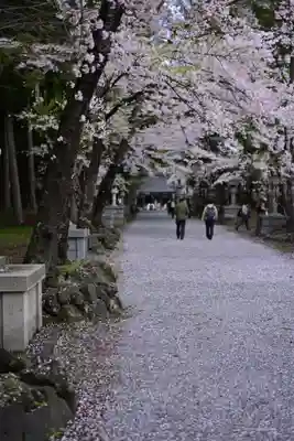 冨士御室浅間神社(山梨県)