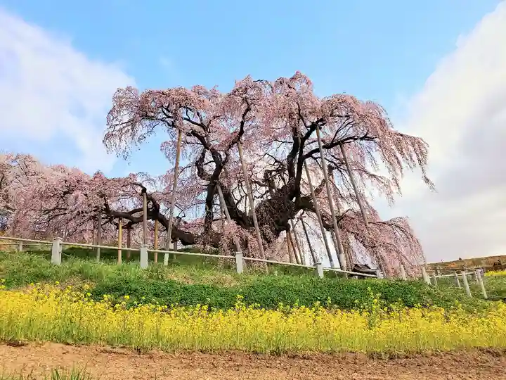 瀧桜神明宮の自然