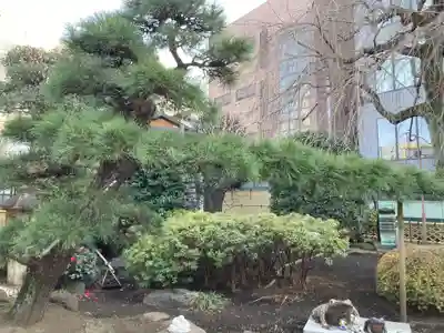 日蓮宗　浄運寺(東京都)