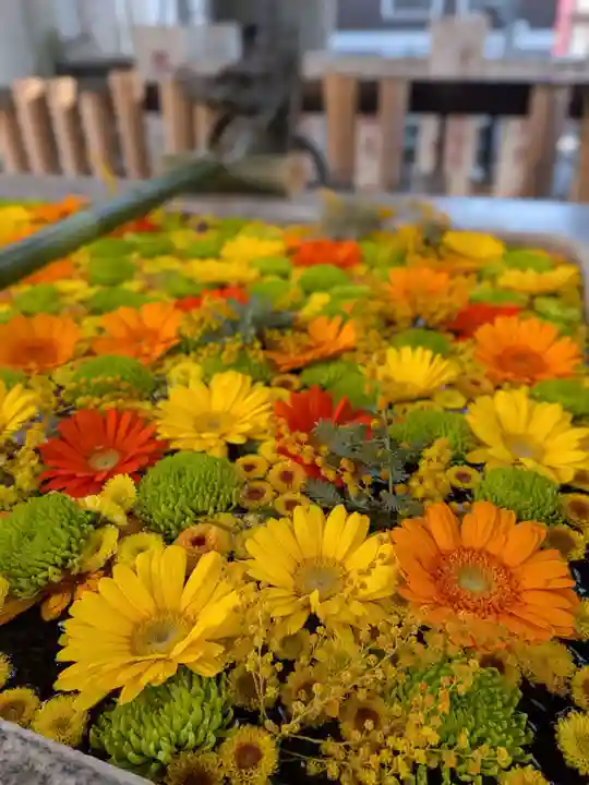 高円寺氷川神社(東京都)