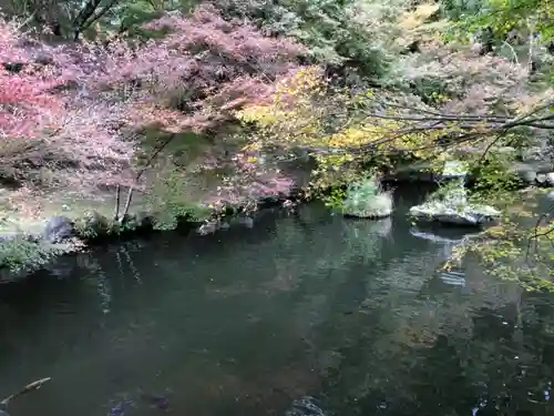 両子寺の庭園