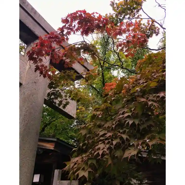 彌彦神社 (伊夜日子神社)の自然