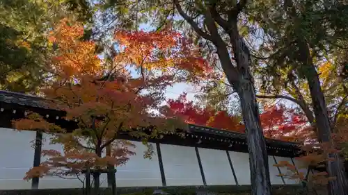 東福禅寺（東福寺）(京都府)