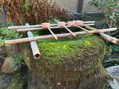平等寺（因幡堂）の{uncategorized: "未分類", other: "その他", undefined: "問題あり", building: "その他建物", grave: "お墓", sacred_gate: "鳥居", guardian: "狛犬", statue: "像", buddha: "仏像", history: "歴史", nature: "自然", garden: "庭園", animal: "動物", pagoda: "塔", temizu: "手水舎", mountain_gate: "山門・神門", sanctuary: "本殿・本堂", subordinate: "末社・摂社", art: "芸術", scenery: "景色", jizo: "地蔵", ema: "絵馬", goshuin: "御朱印", omikuji: "おみくじ", items: "授与品その他", amulet: "お守り", goshuincho: "御朱印帳", eats: "食事", festival: "お祭り", votive_dance: "神楽", shichigosan: "七五三参", wedding: "結婚式", experience: "体験その他", initially: "初詣", around: "周辺", anti_infection: "感染症対策"}
