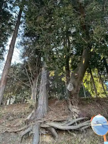 若宮八幡神社(山梨県)