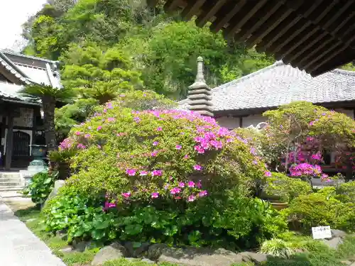 安養院　(田代寺）の庭園