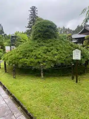 大聖寺（土浦大師不動尊）(茨城県)