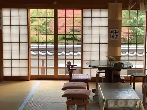 来迎寺(井戸来迎寺・紫雲山来迎寺)の本殿・本堂