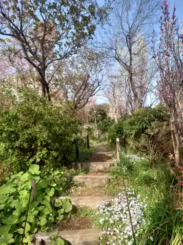 常泉寺(神奈川県)