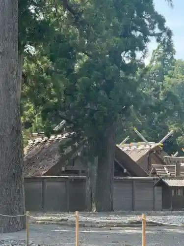 伊勢神宮外宮（豊受大神宮）の{uncategorized: "未分類", other: "その他", undefined: "問題あり", building: "その他建物", grave: "お墓", sacred_gate: "鳥居", guardian: "狛犬", statue: "像", buddha: "仏像", history: "歴史", nature: "自然", garden: "庭園", animal: "動物", pagoda: "塔", temizu: "手水舎", mountain_gate: "山門・神門", sanctuary: "本殿・本堂", subordinate: "末社・摂社", art: "芸術", scenery: "景色", jizo: "地蔵", ema: "絵馬", goshuin: "御朱印", omikuji: "おみくじ", items: "授与品その他", amulet: "お守り", goshuincho: "御朱印帳", eats: "食事", festival: "お祭り", votive_dance: "神楽", shichigosan: "七五三参", wedding: "結婚式", experience: "体験その他", initially: "初詣", around: "周辺", anti_infection: "感染症対策"}