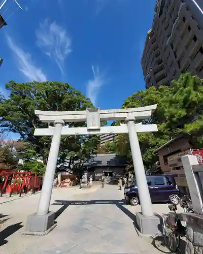 菅生神社の鳥居