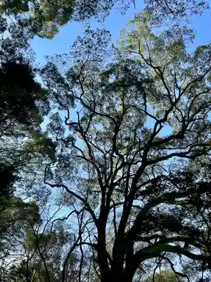石穴稲荷神社(福岡県)
