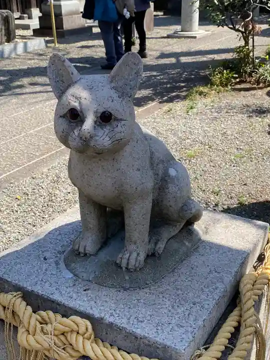 阿豆佐味天神社 立川水天宮の狛犬