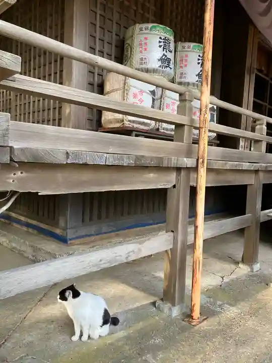 鎌数伊勢大神宮(千葉県)