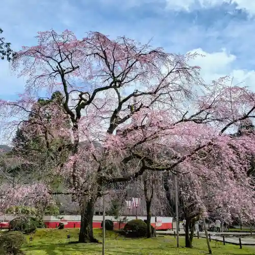 醍醐寺(京都府)