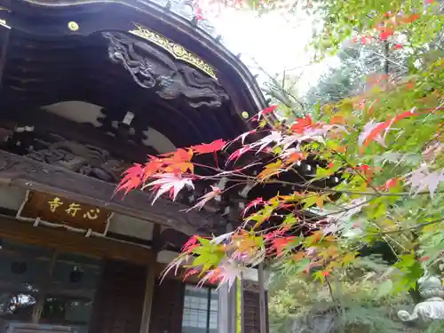 心行寺の本殿・本堂