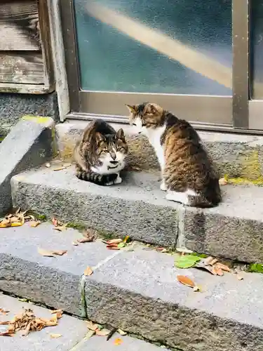 蚶満寺(秋田県)