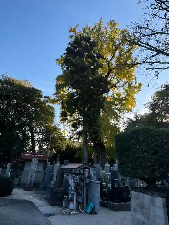 観音寺(島根県)