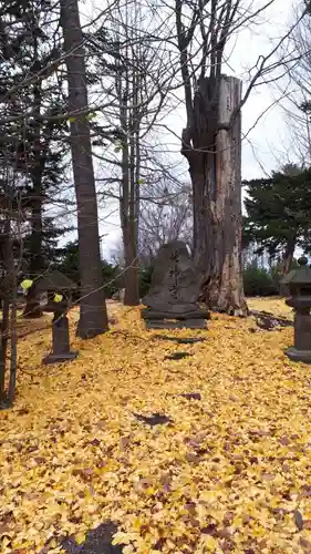 芽生神社のその他建物