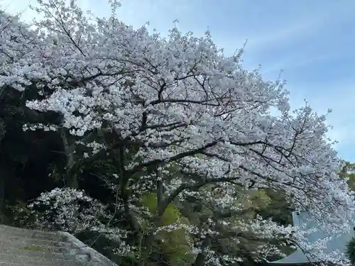忌部神社(徳島県)