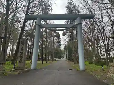 長沼神社の{uncategorized: "未分類", other: "その他", undefined: "問題あり", building: "その他建物", grave: "お墓", sacred_gate: "鳥居", guardian: "狛犬", statue: "像", buddha: "仏像", history: "歴史", nature: "自然", garden: "庭園", animal: "動物", pagoda: "塔", temizu: "手水舎", mountain_gate: "山門・神門", sanctuary: "本殿・本堂", subordinate: "末社・摂社", art: "芸術", scenery: "景色", jizo: "地蔵", ema: "絵馬", goshuin: "御朱印", omikuji: "おみくじ", items: "授与品その他", amulet: "お守り", goshuincho: "御朱印帳", eats: "食事", festival: "お祭り", votive_dance: "神楽", shichigosan: "七五三参", wedding: "結婚式", experience: "体験その他", initially: "初詣", around: "周辺", anti_infection: "感染症対策"}