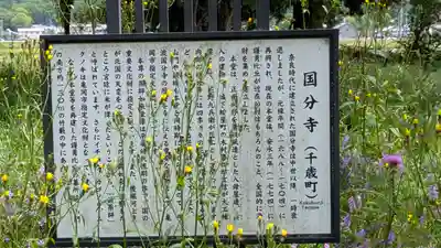 國分寺(国分寺)(京都府)