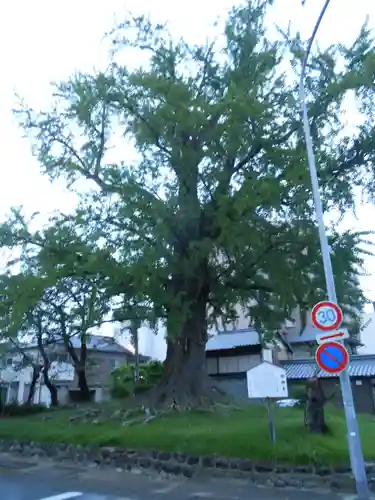 津島神社　御旅所跡(愛知県)