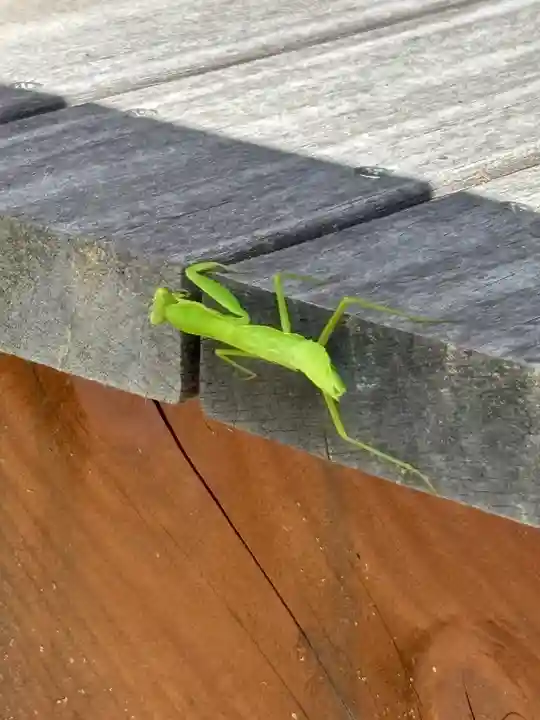 蚊里田八幡宮(長野県)