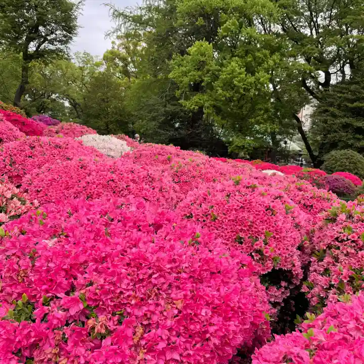 根津神社の自然