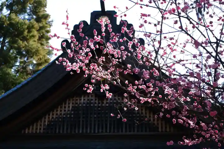 枚岡神社の自然