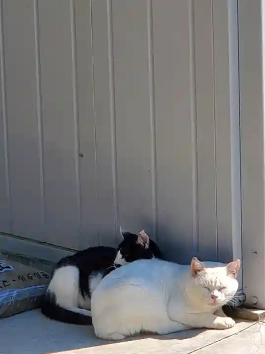 長屋神社の動物