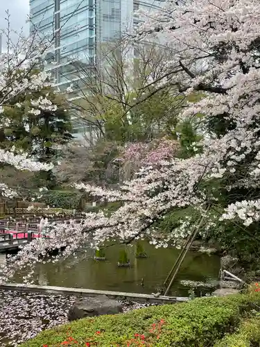東郷神社の自然