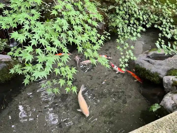 光明寺瑠璃光院(京都府)