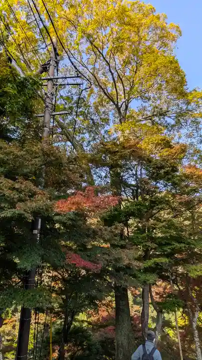 神護寺(京都府)