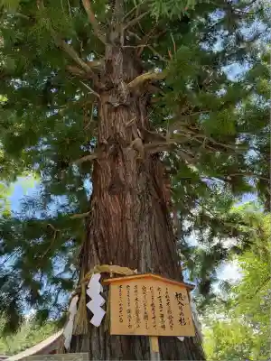 諏訪大社下社秋宮(長野県)