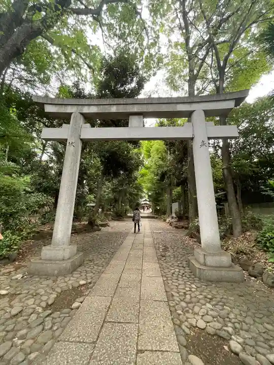 代々木八幡宮の鳥居