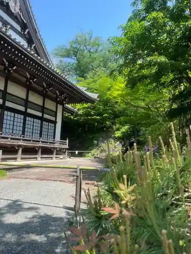 妙蓮寺(神奈川県)
