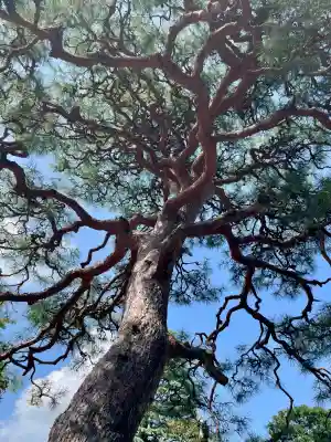泉沢寺(神奈川県)