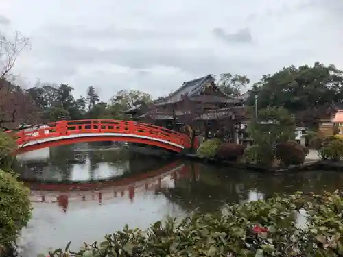 神泉苑の庭園