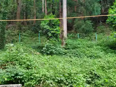 八幡神社（閑馬町）(栃木県)