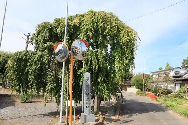 熊野福藏神社の景色
